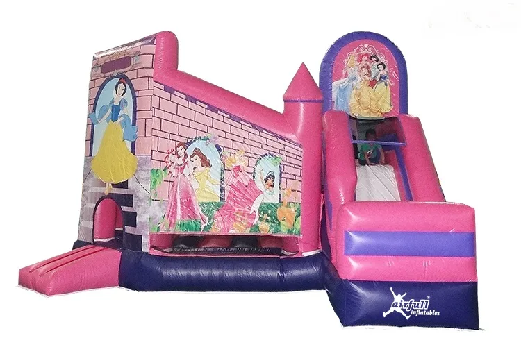 Combinat Princeses Disney