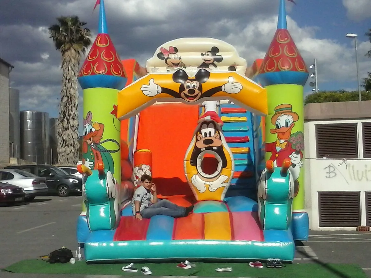 Goofy Tobogan