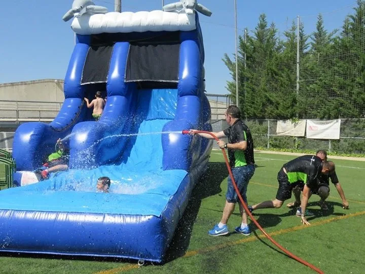 Inflable Dofí d'Aigua 1