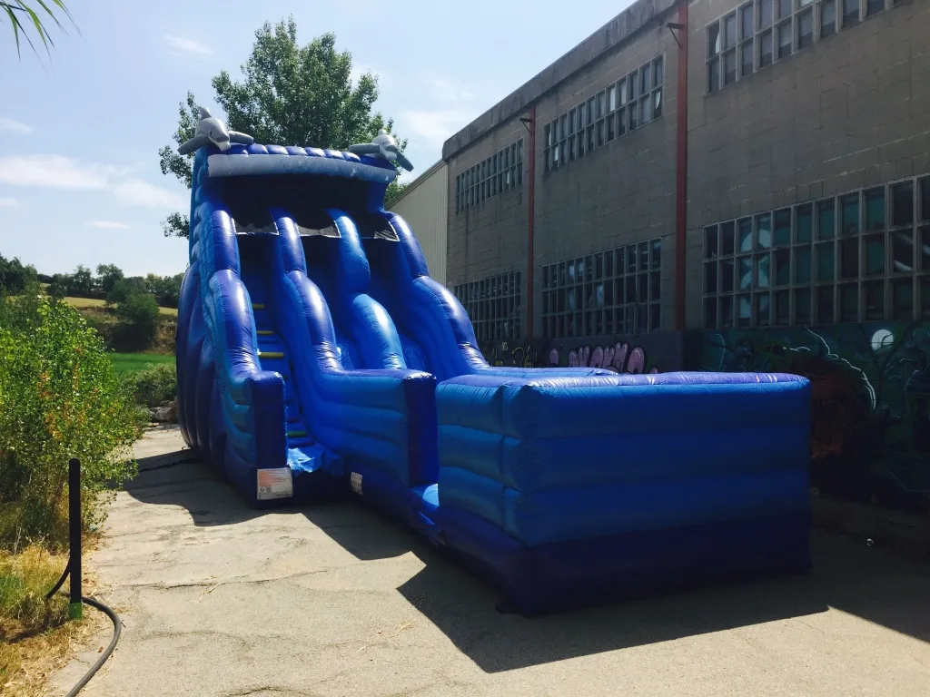 Inflable Dofí Lliscador