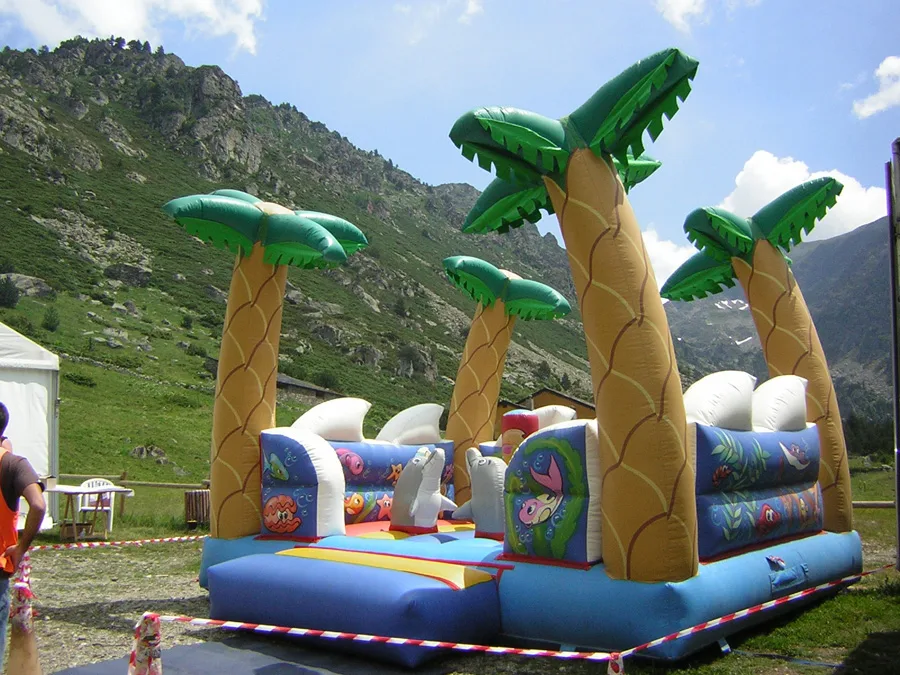 Inflable Multidofins