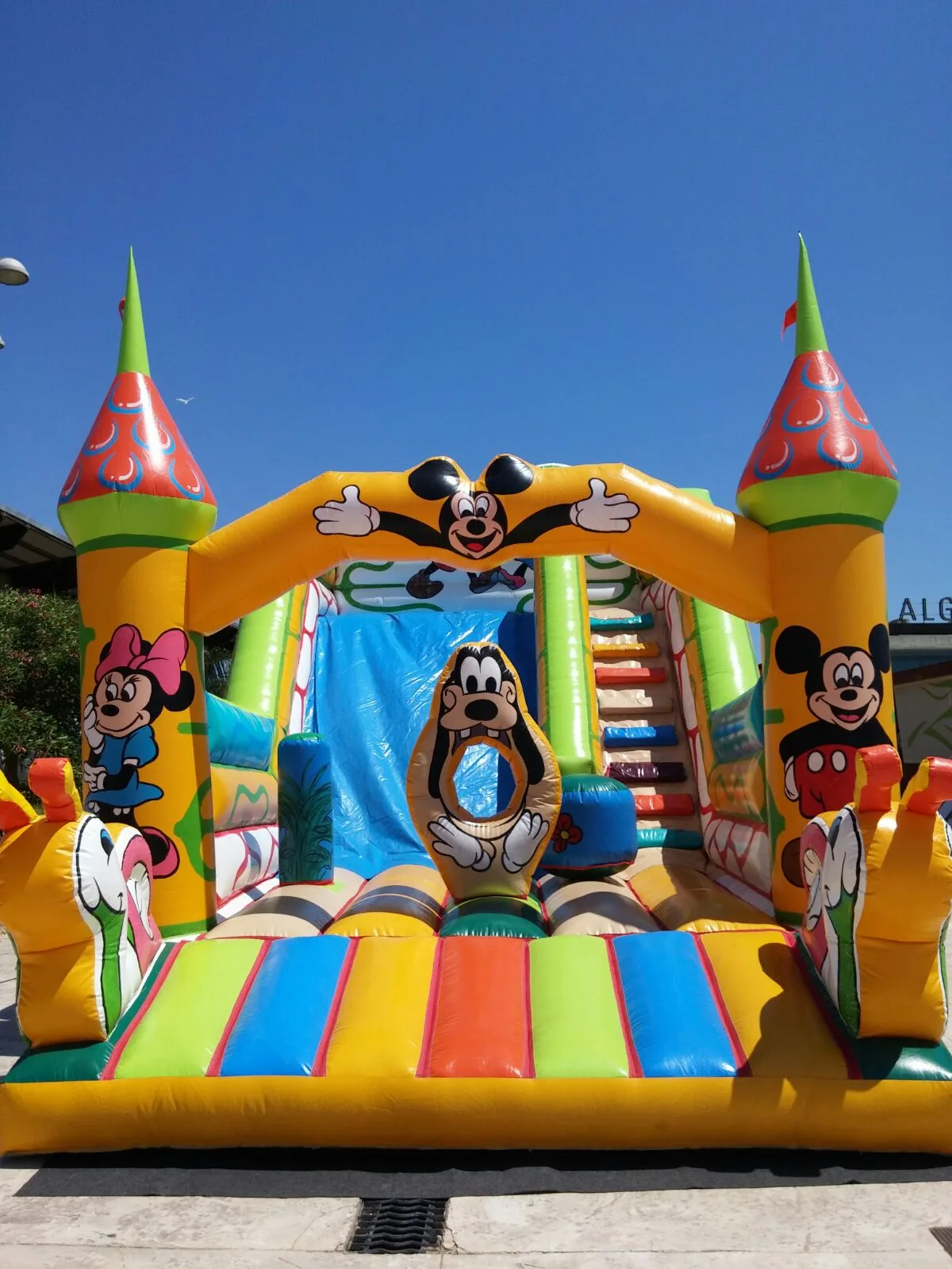 Mickey Tobogan